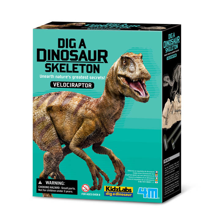 Dig A Velociraptor Skeleton
